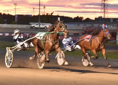 Y S Suzanne (#3) beats EAU Naturelle to the wire in the ,000 final for trotting mares