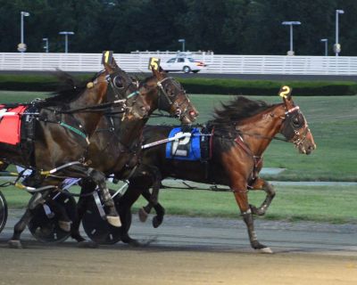 Genius Man hangs on by a nose in NYSS action