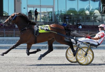 Dancinginthedark M and driver Dave Palone setting stakes record