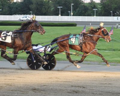 Unbeaten American Courage wins his seventh straight race