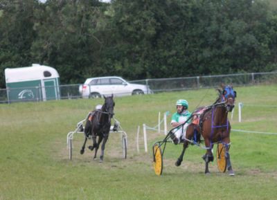 Llwyns Delight winner of the High-Grade pace at Lyre