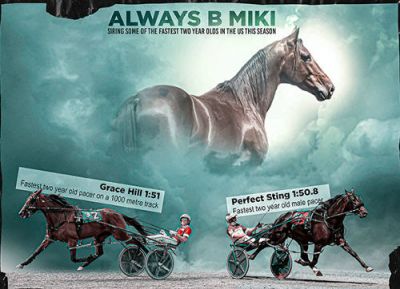 Always B Miki has some of the fastest two-year-olds in North America