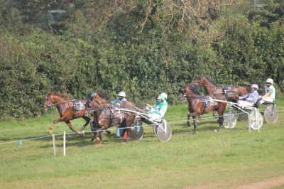 Action from the Aged Trot with Brutenor the winner on the outside front line