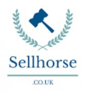 STAGBI partnership with Sellhorse.co.uk