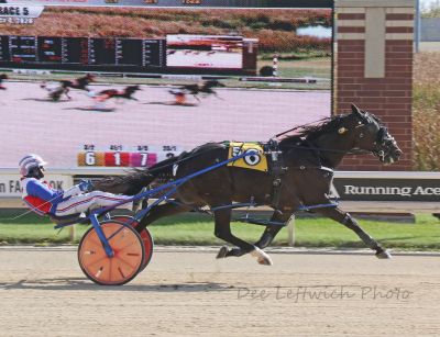 Chris Scicluna steered his top pacer Hoo Nien A to a 1:53.3 win as part of a dominating performance on closing day