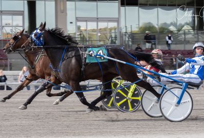 Dream Dancing (#4) and driver Chris Shaw beat Ginger Tree Carey to the wire