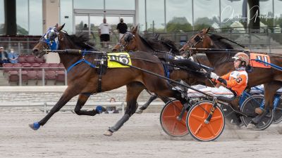 Stickler Hanover and driver Brady Brown