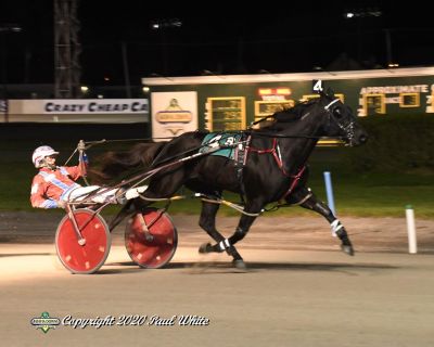 Love The Dragon gives Jim Morrill, Jr. his 7,500 career win