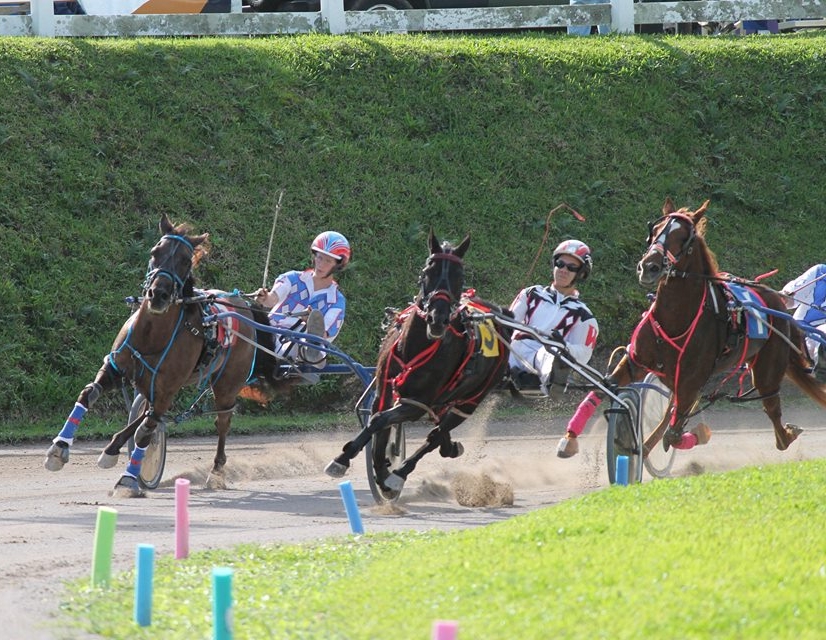 Harness pony racing in Bermuda