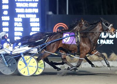 Nice Kitty Hanover (#9) gets up late to win