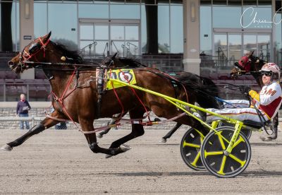 Best Derby Native upsets in the Donna Dunn Memorial 2nd leg