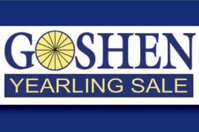 Goshen Yearling Sale