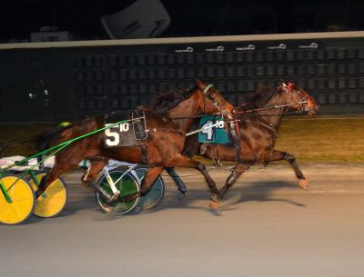 Majestic Marvel (#4) wins the Dover Downs feature