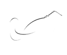 HarnessLink