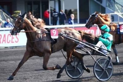 Gu d'Heripre and driver Franck Nivard