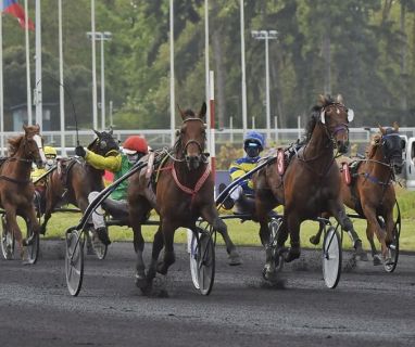 Davidson du Pont (center of the track) winning the Prix Kerjacques at Vincennes