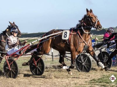 High Flying Harry and Devon van Til