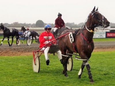 Keep On Dreaming after winning at Ascot Park