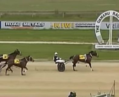 Oamaru Harness action