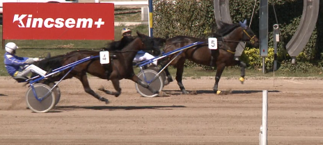 Zolta wins Borostyankoy